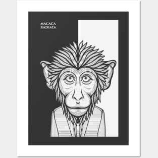 Bonnet Macaque Monkey Posters and Art